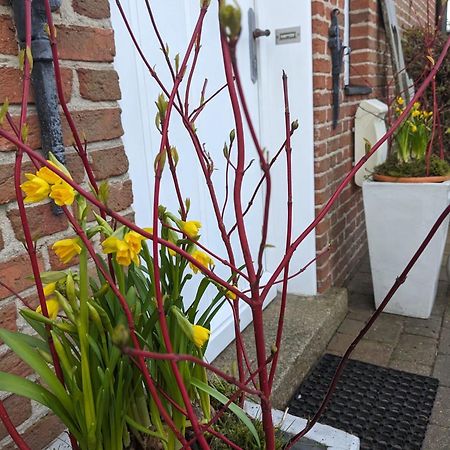 Ferienhaus Addebuell Langenhorn Bagian luar foto